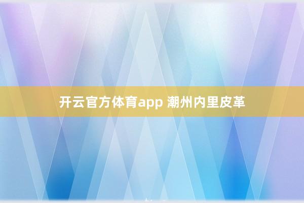 开云官方体育app 潮州内里皮革