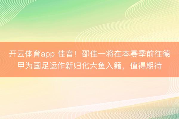 开云体育app 佳音！邵佳一将在本赛季前往德甲为国足运作新归化大鱼入籍，值得期待