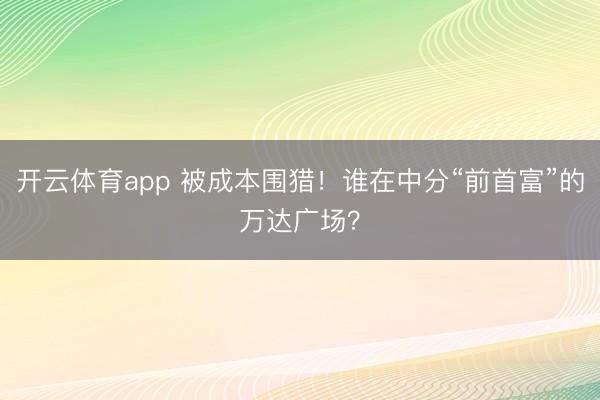 开云体育app 被成本围猎！谁在中分“前首富”的万达广场？